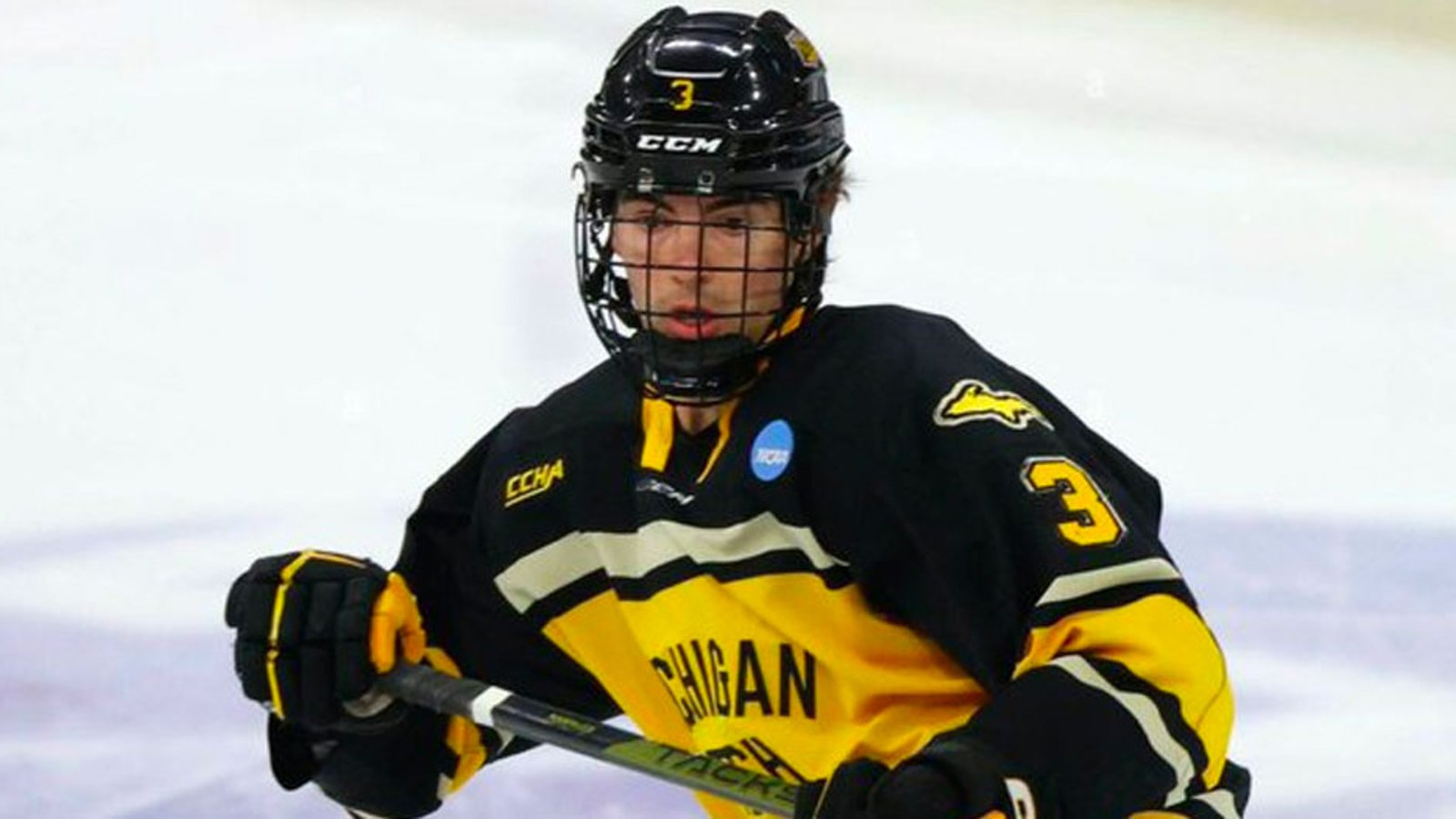 Former Leafs pick signs with a new team in free agency