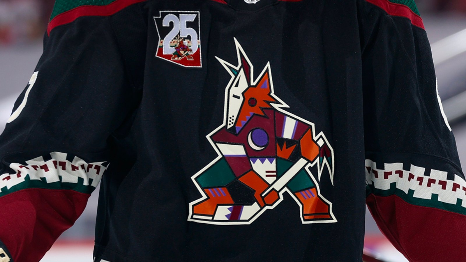 Coyotes forced to sign a “good behavior” clause in agreement with ASU