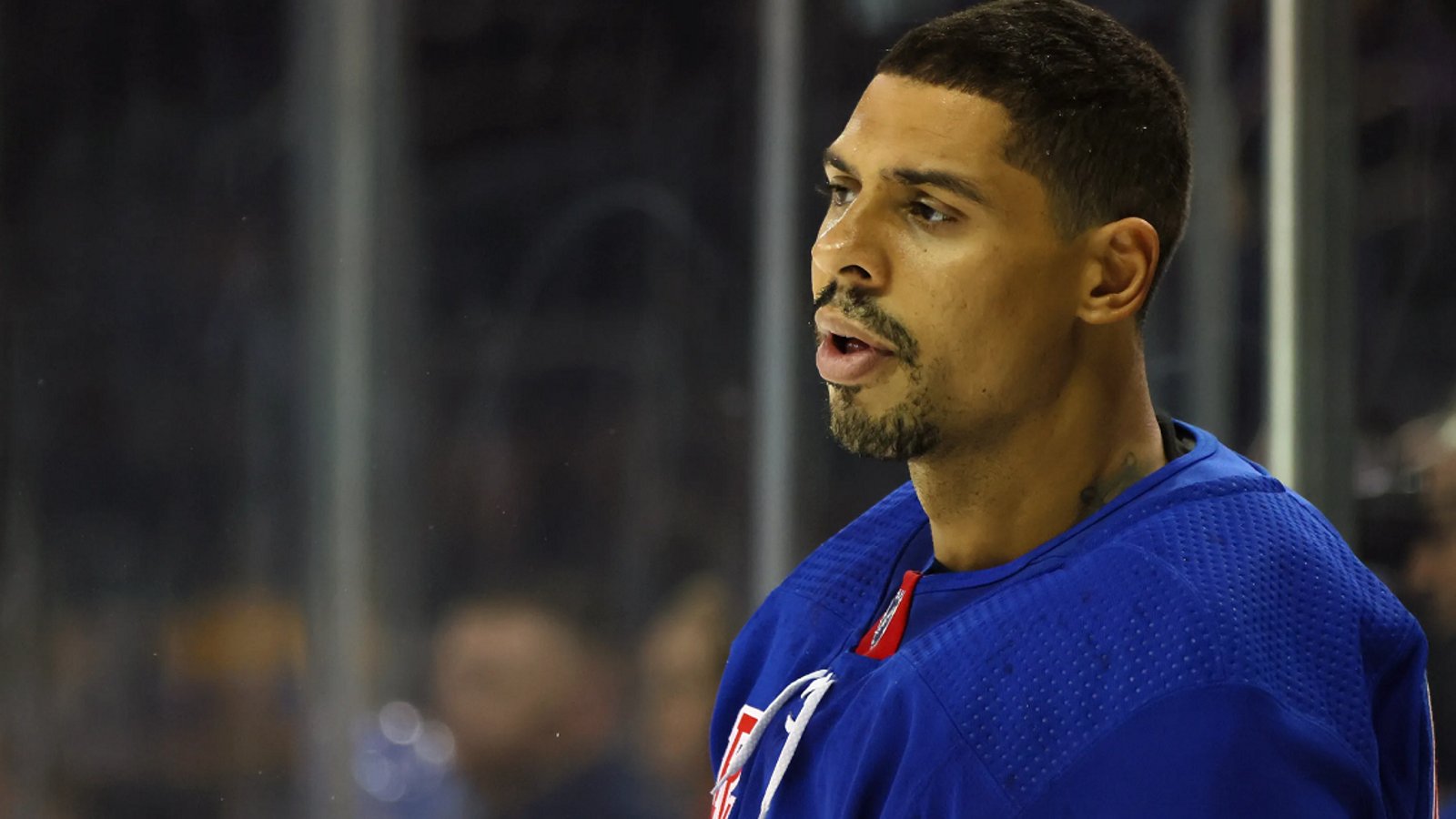 Ryan Reaves details physical altercation with NHL head coach.