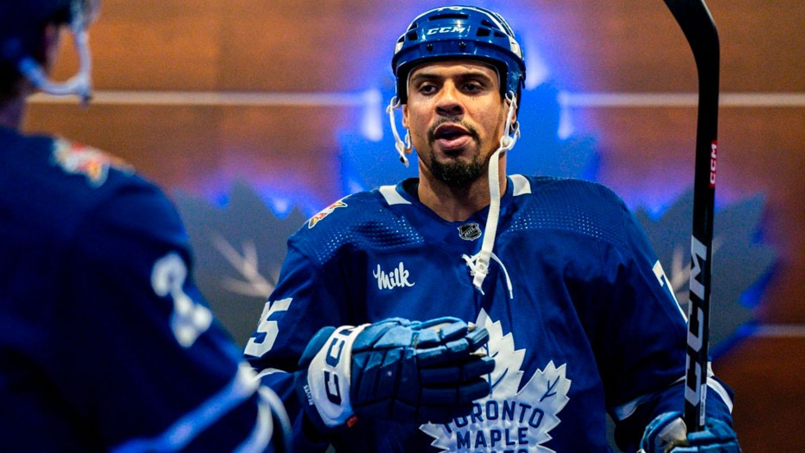 Rumor: Leafs to sign former 1st round pick to replace Ryan Reaves
