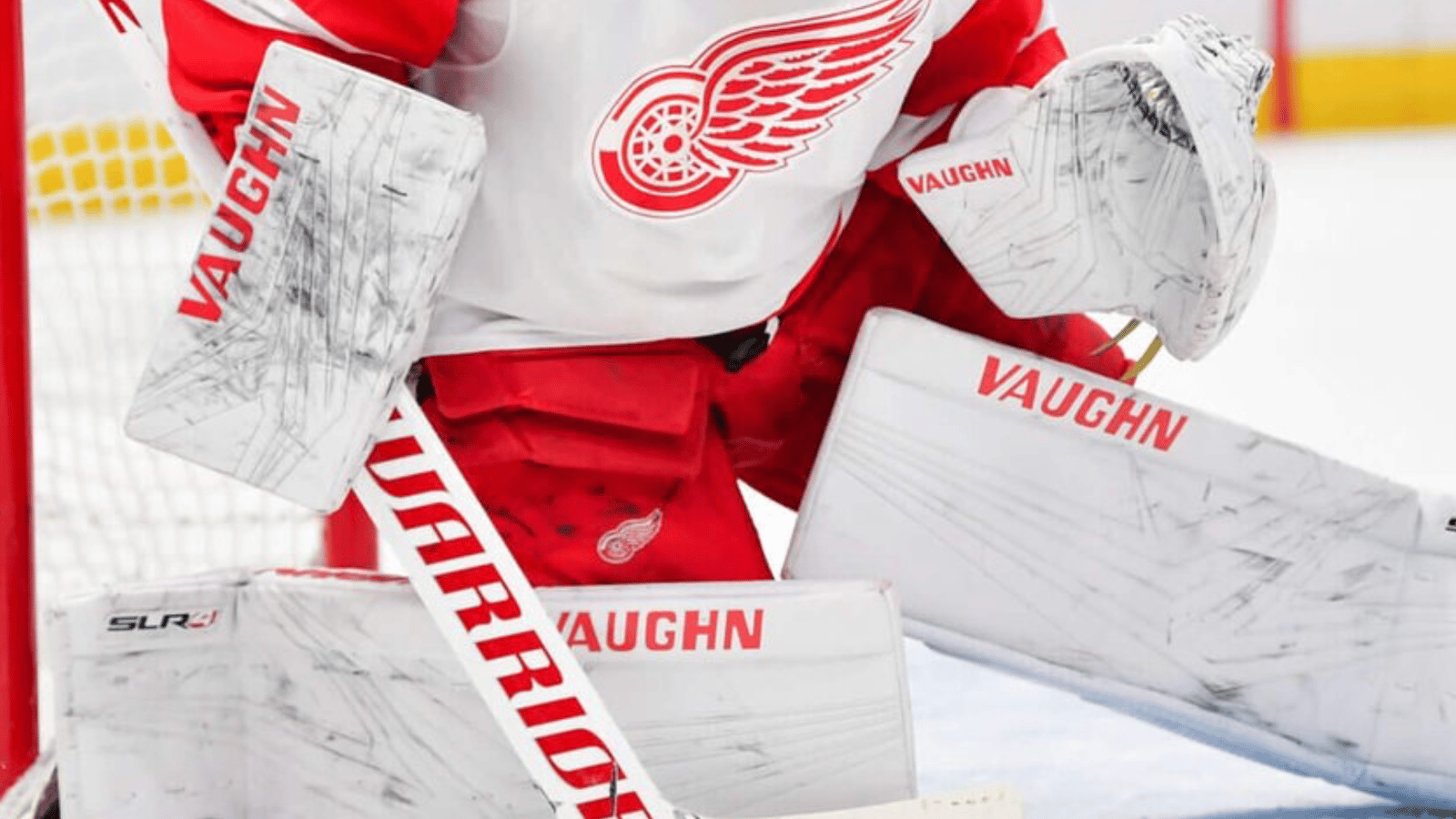 Red Wings announce signing of new goaltender