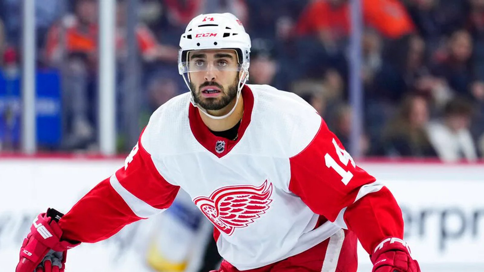 Crucial injury updates released by Red Wings 