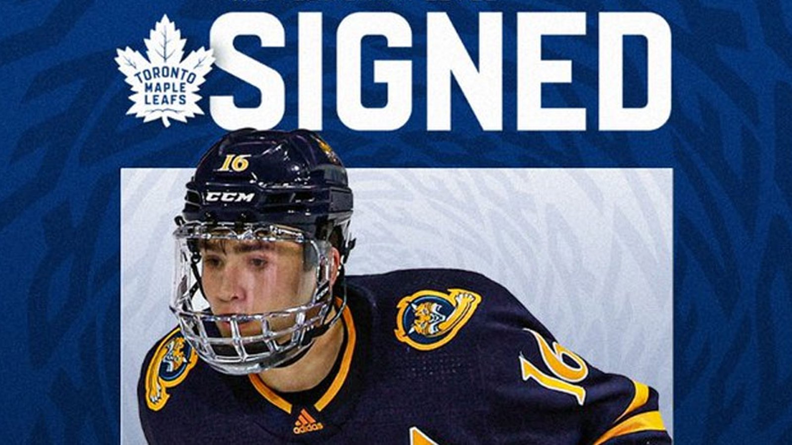 Leafs beat out others to sign NCAA MVP!