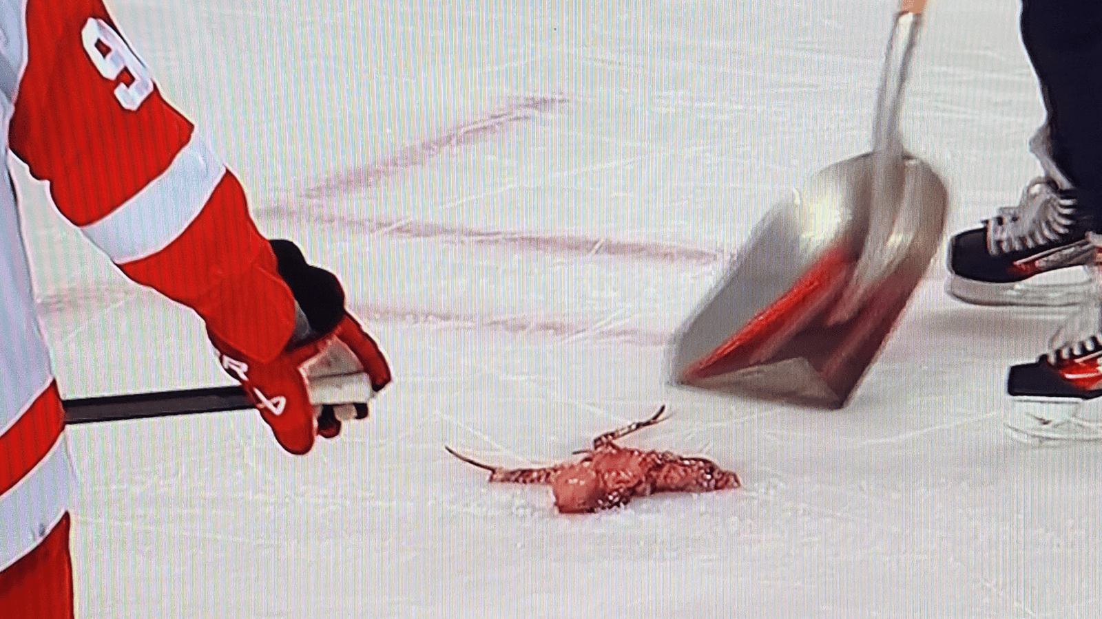 Flames' MacKenzie Weegar complains about octopus thrown on ice 