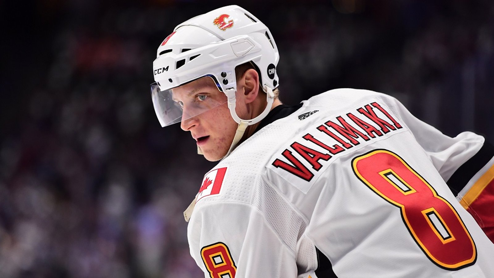 Coyotes steal a player from the Flames on Sunday.