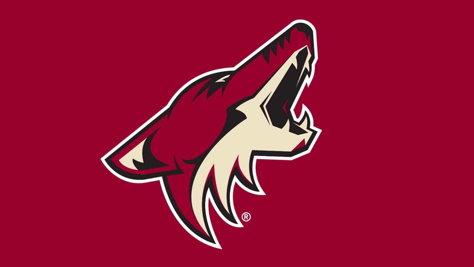 Coyotes players file complaints against their own team.