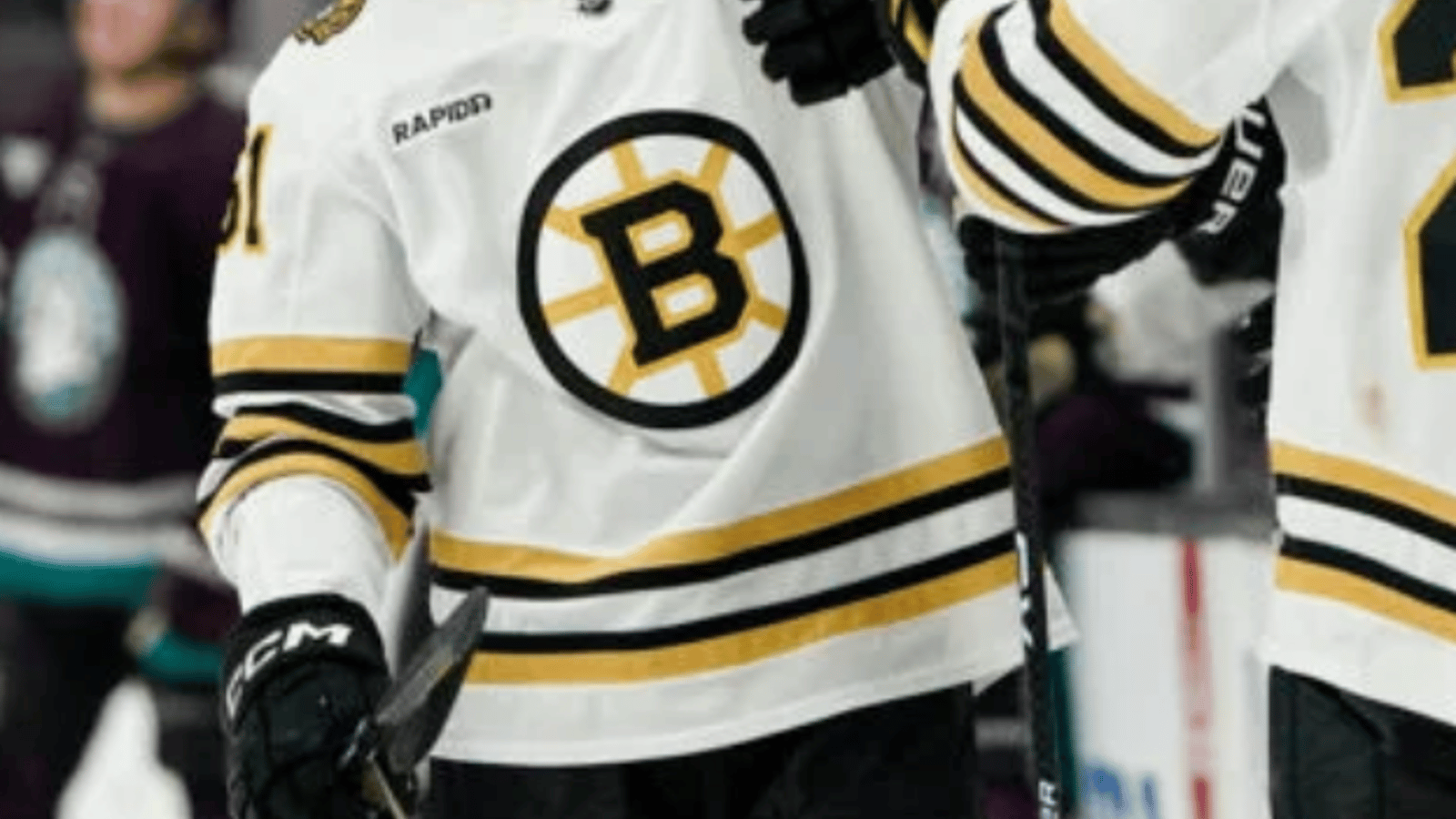 Bruins place veteran forward on waivers 