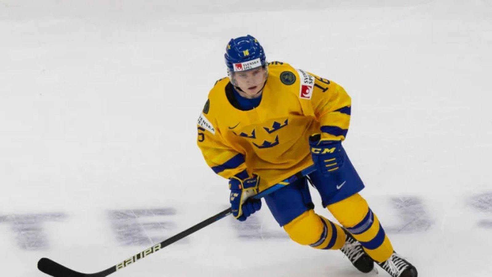 Red Wings prospect earns multi-game suspension 