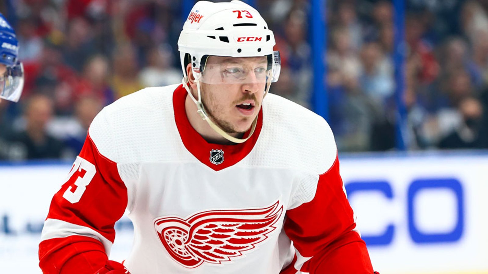 Former Red Wings forward Adam Erne signs a PTO contract with new team