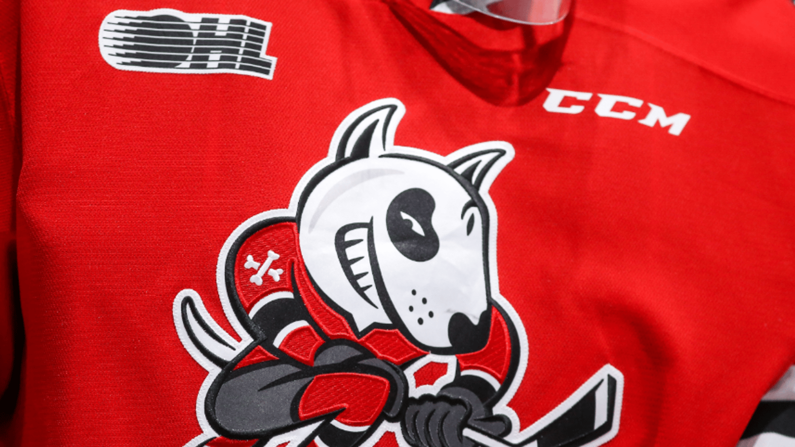 OHL's Niagara IceDogs are under investigation... again