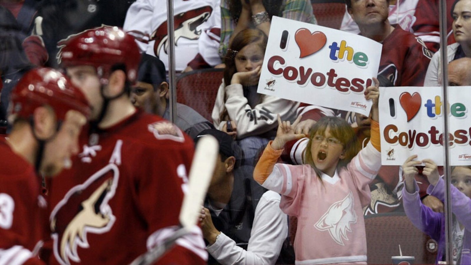 It's official, the Arizona Coyotes have folded
