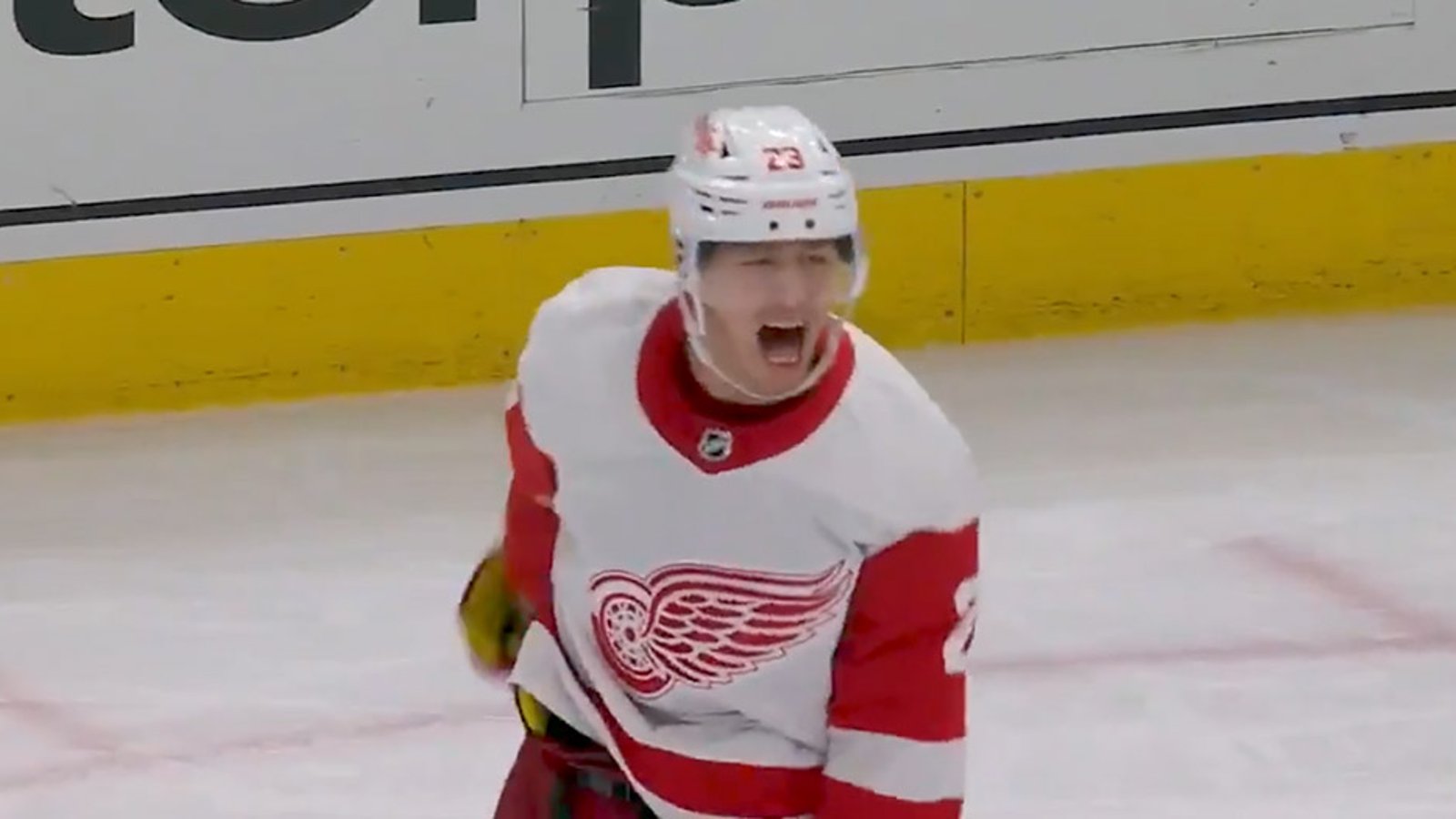 Red Wings rookie Lucas Raymond scores 1st career hat trick! (VIDEO)