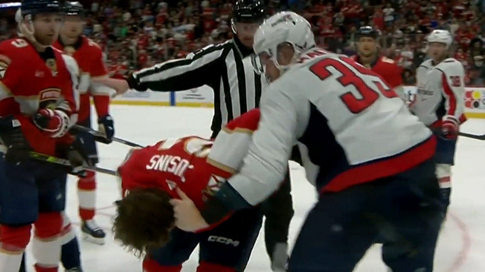 Anthony Mantha pummels Nick Cousins on Saturday.