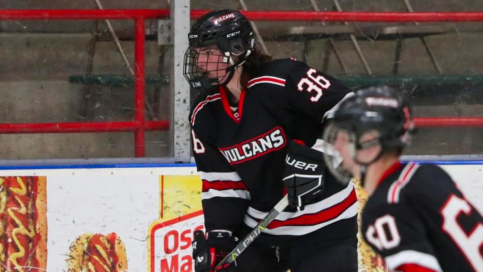 Young defenseman tragically passes away in brutal car crash