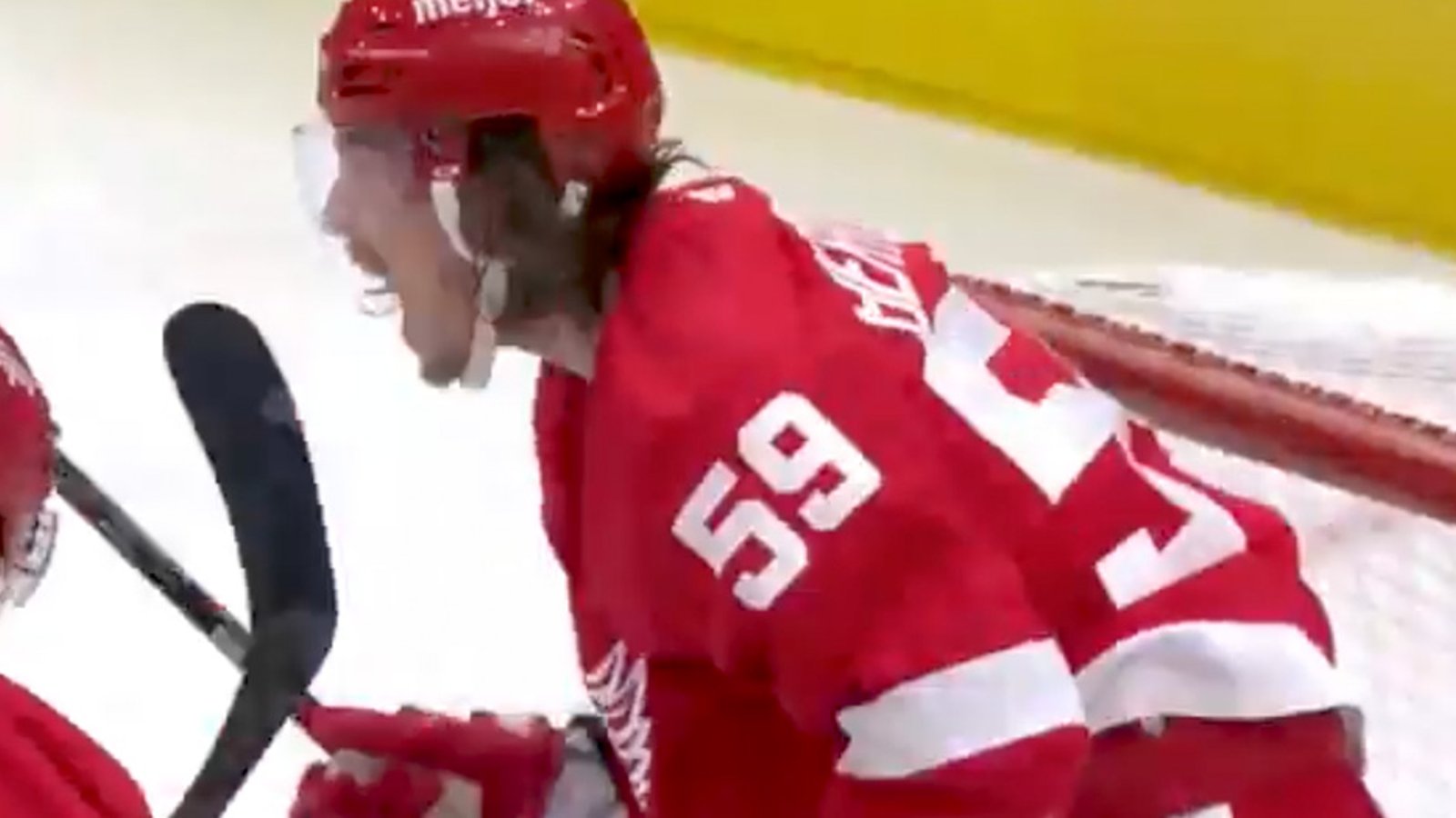 Tyler Bertuzzi scores natural hat trick on opening night! (VIDEO)