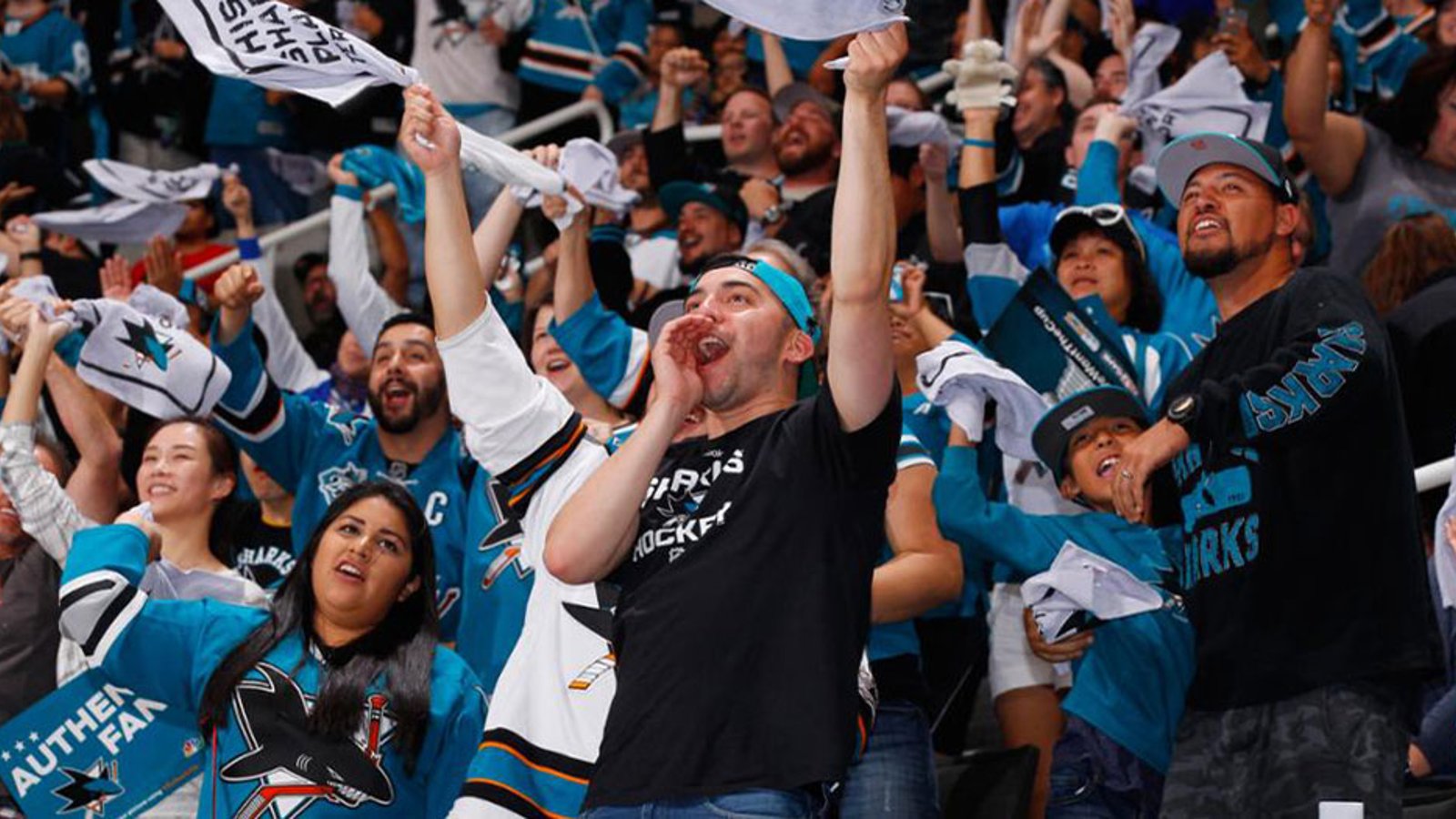 Sharks update arena mandate to now include children aged 3-11 years old