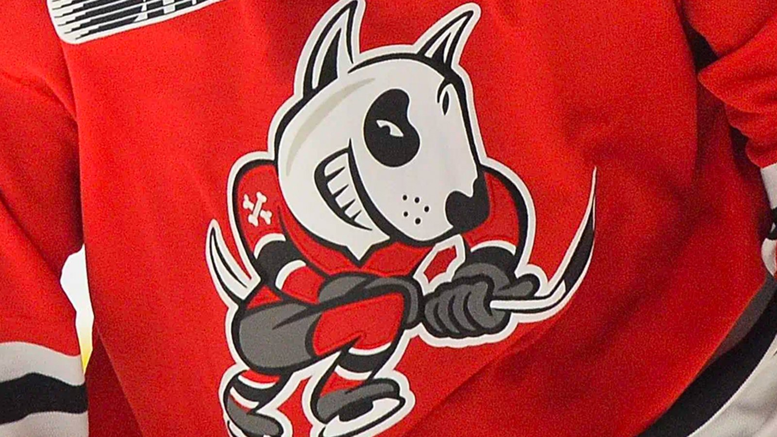 OHL's IceDogs owners disgraced after alleged misconduct, reports that former NHLer will buy the team 