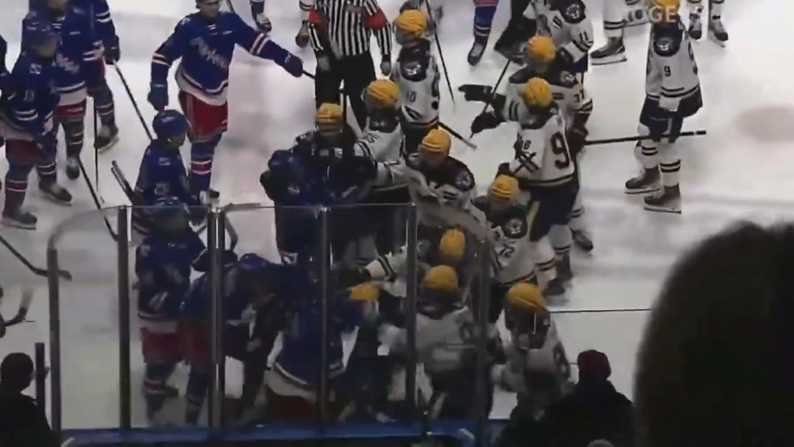 Sucker punch leads to an ugly brawl in the Ontario Hockey League.