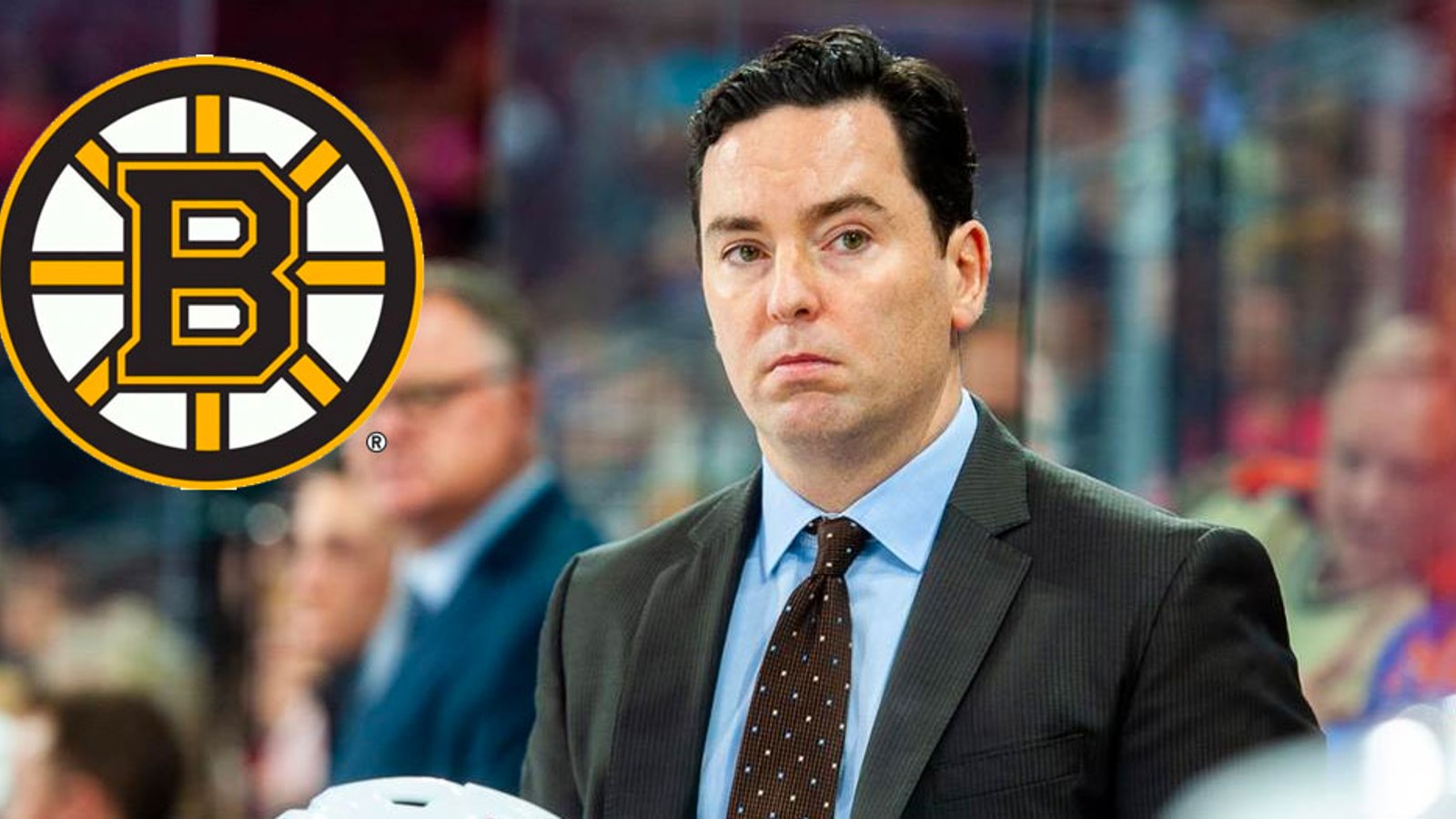 Report: Woodcroft adds former Bruins defenseman to his coaching staff