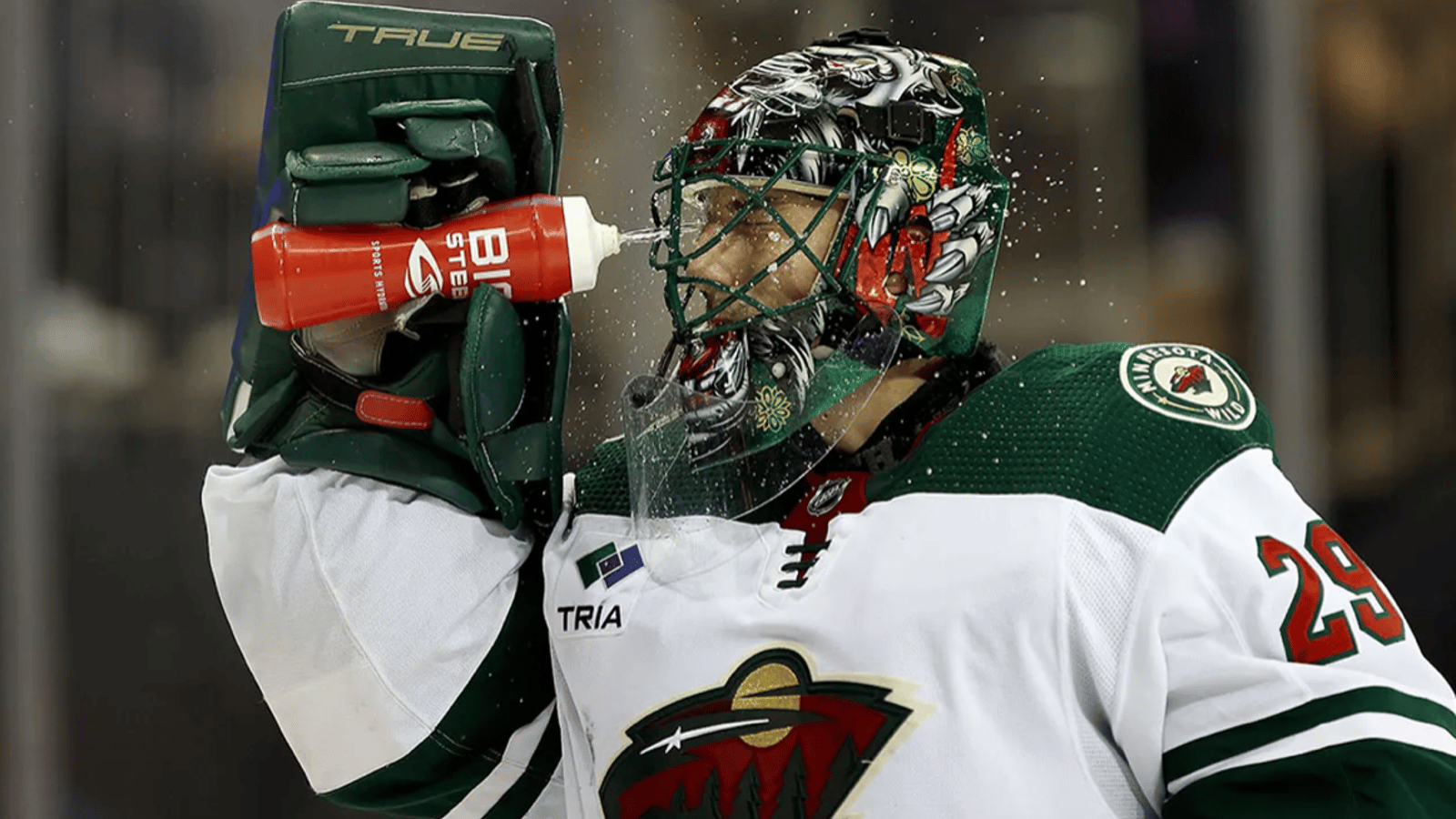 Marc-Andre Fleury tells the NHL to pound rocks 