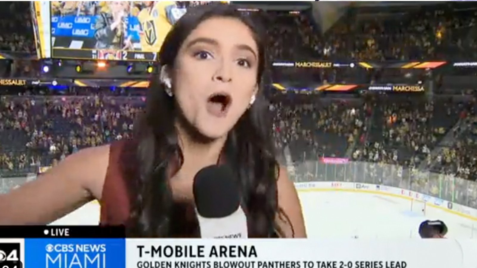 Panthers reporter stiff-arms a rowdy Vegas fan while live on air