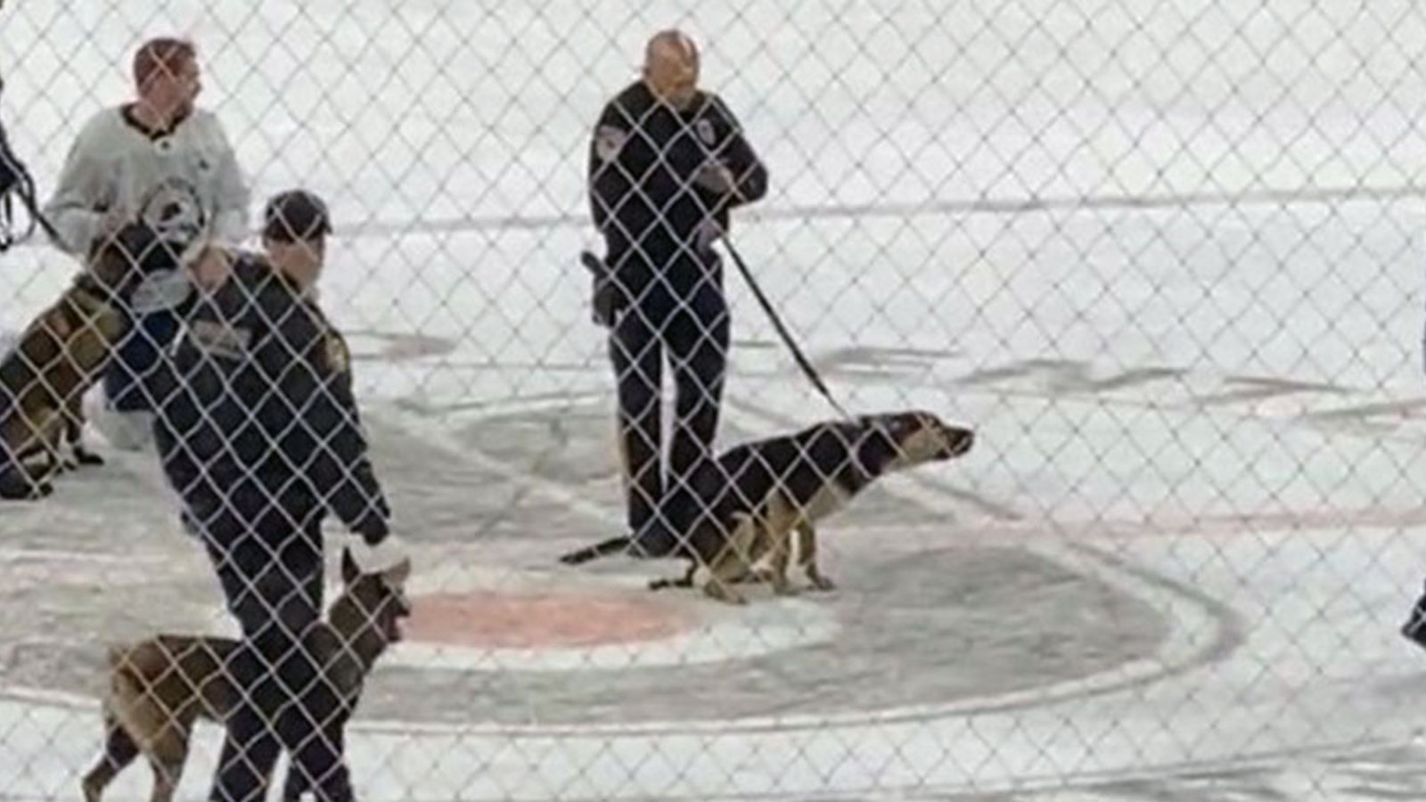 Philly police dog takes a dump on Flyers logo at center ice