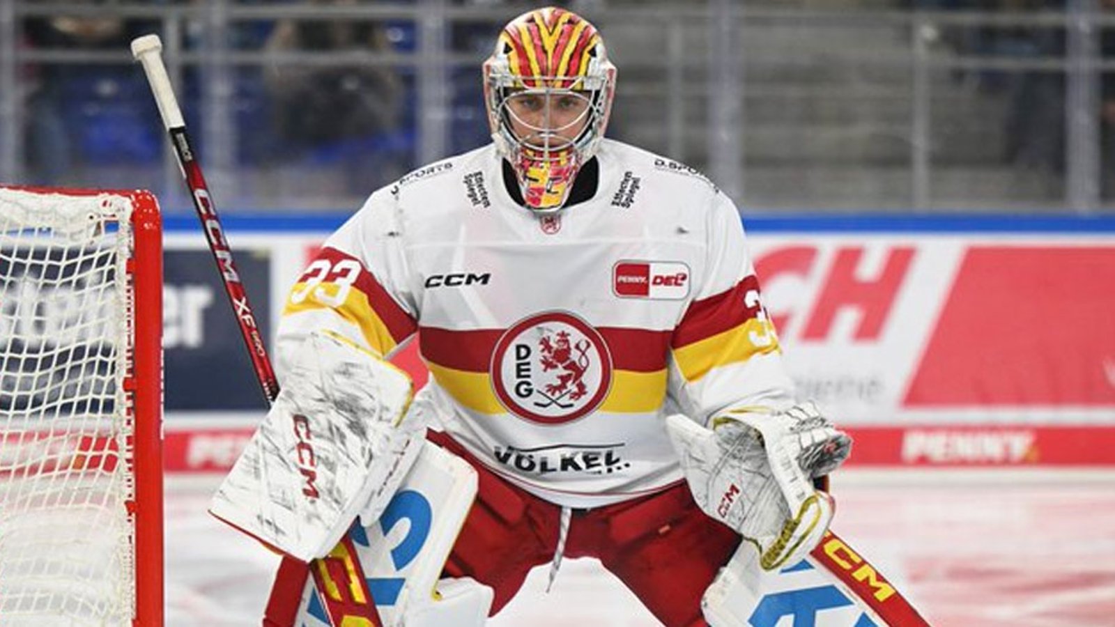 Hurricanes sign a new goalie just one day before elimination game