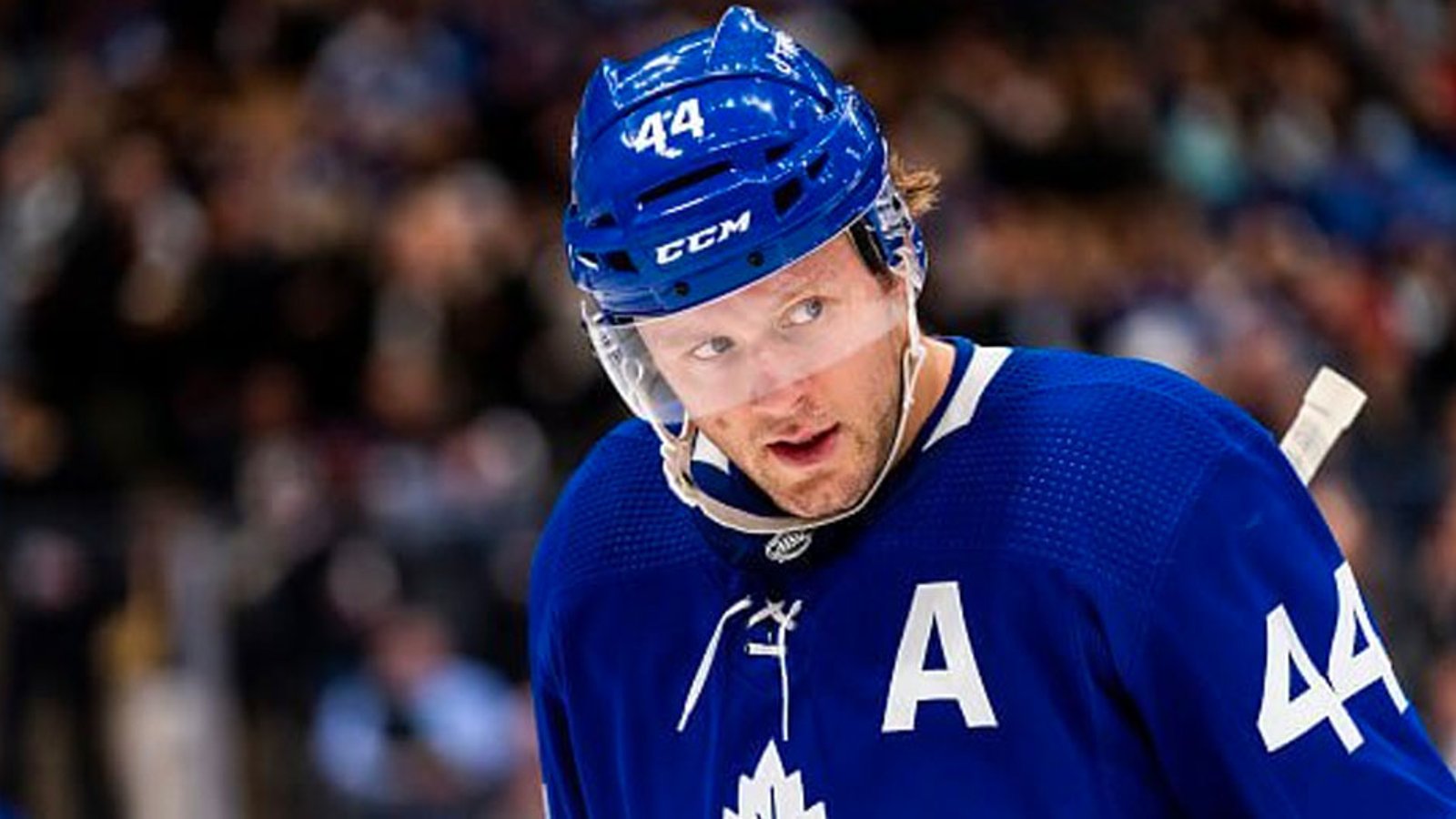 Leafs add more personnel to NHL's protocol list