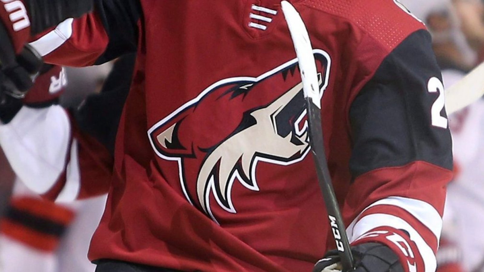 Released from PTO, player reveals embarrassing info on his time with Coyotes 