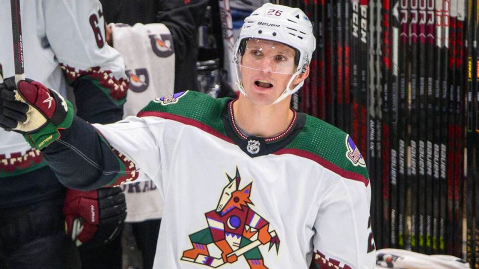 Antoine Roussel's NHL career appears to be over