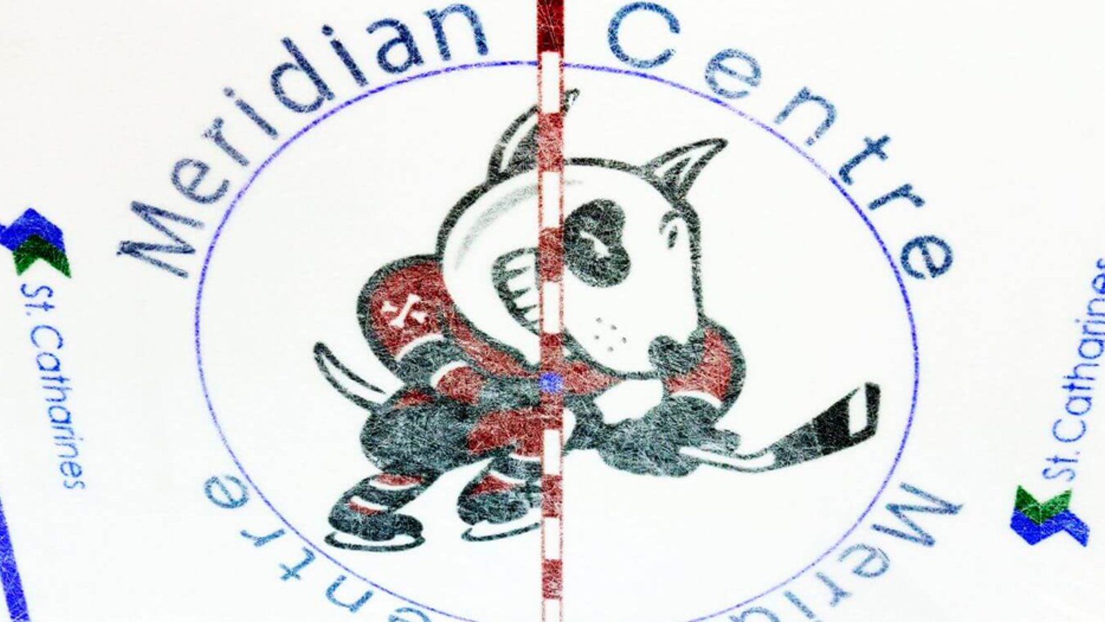 Leaked transcripts show exactly what Niagara IceDogs owners said, earning them an indefinite suspension