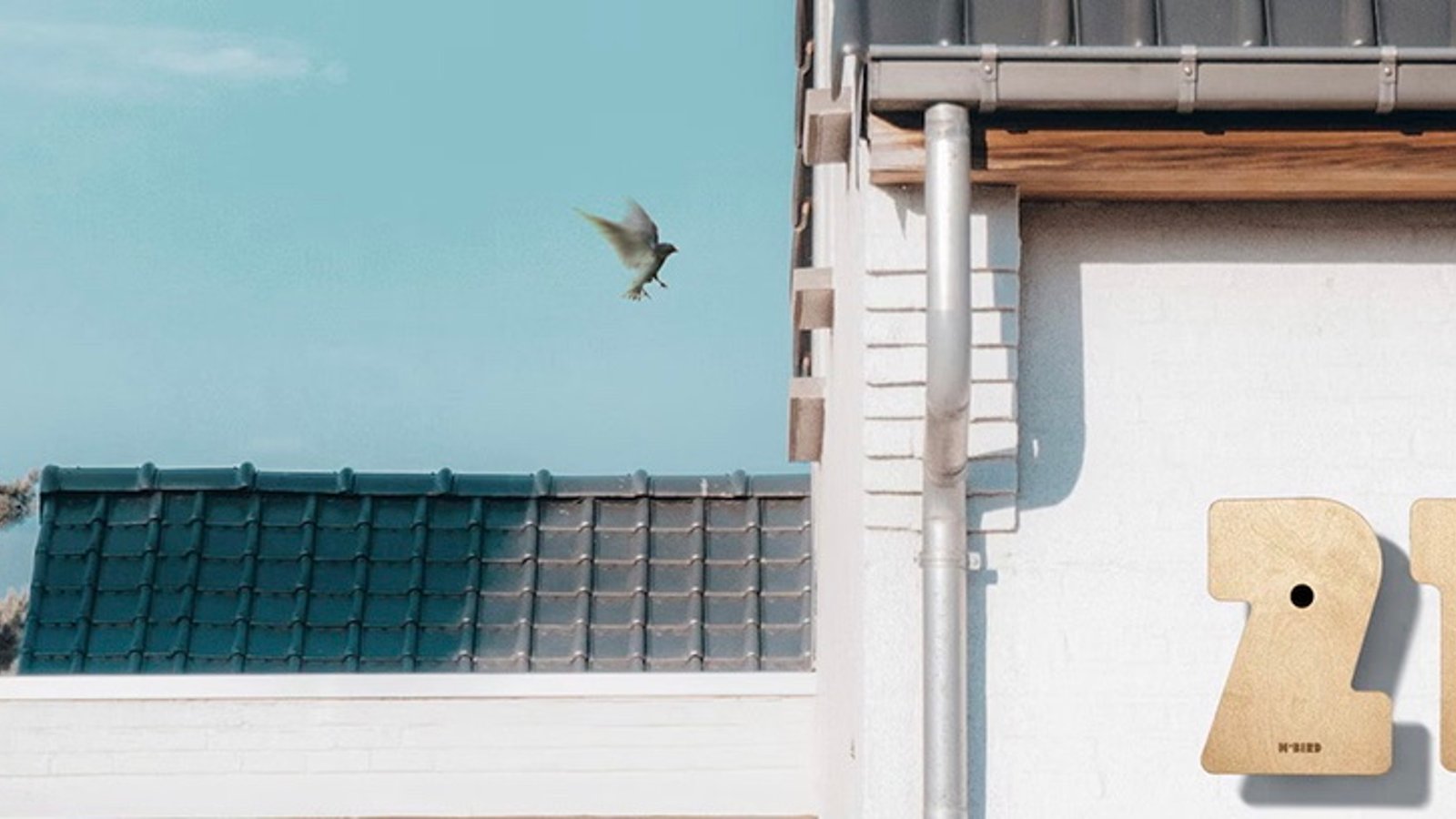 Ces charmants nichoirs à oiseaux servent également de numéros d'adresse pour les maisons