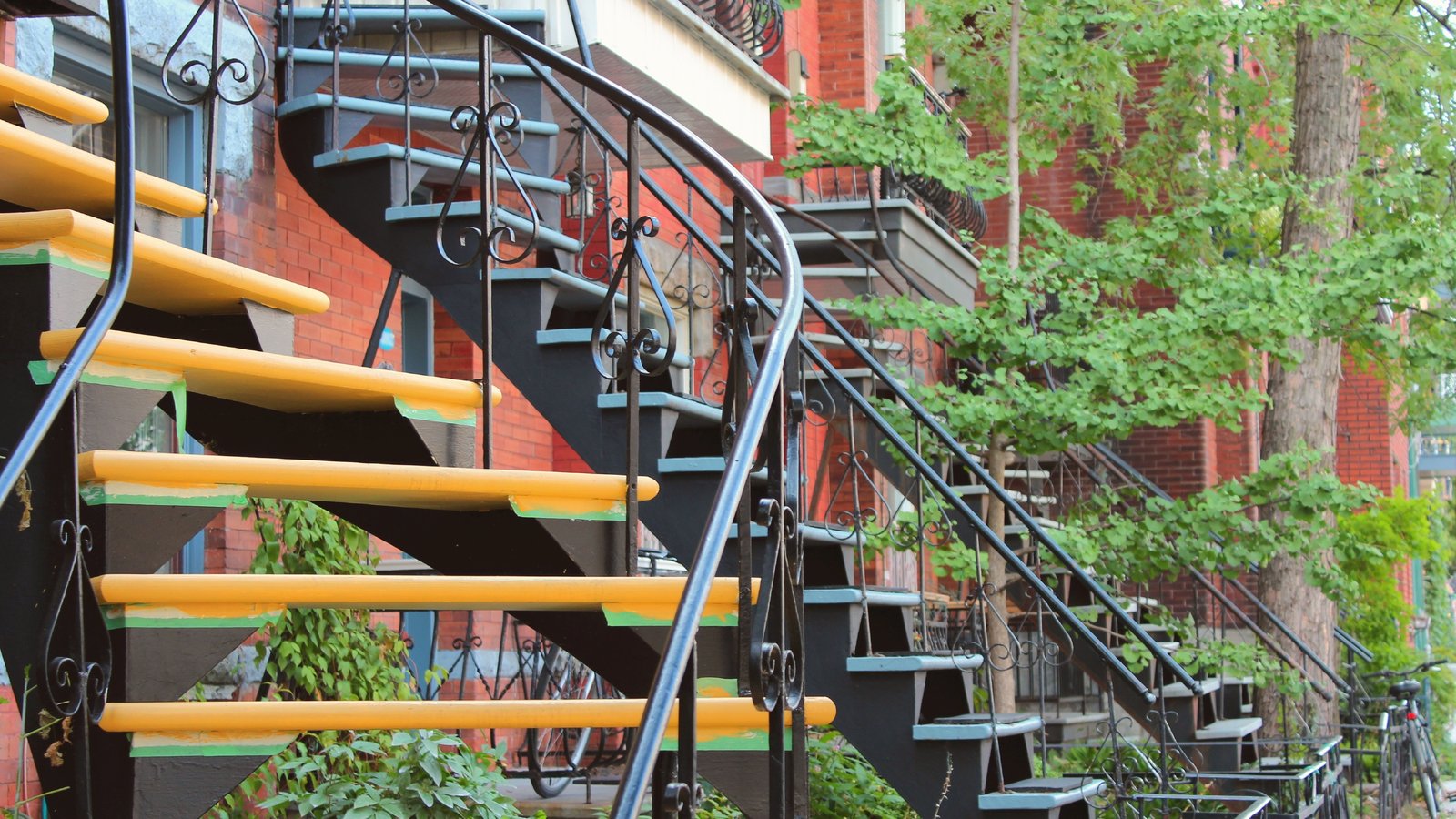 Les jeunes de Montréal n'ont pas abandonné l'idée d'acheter une maison