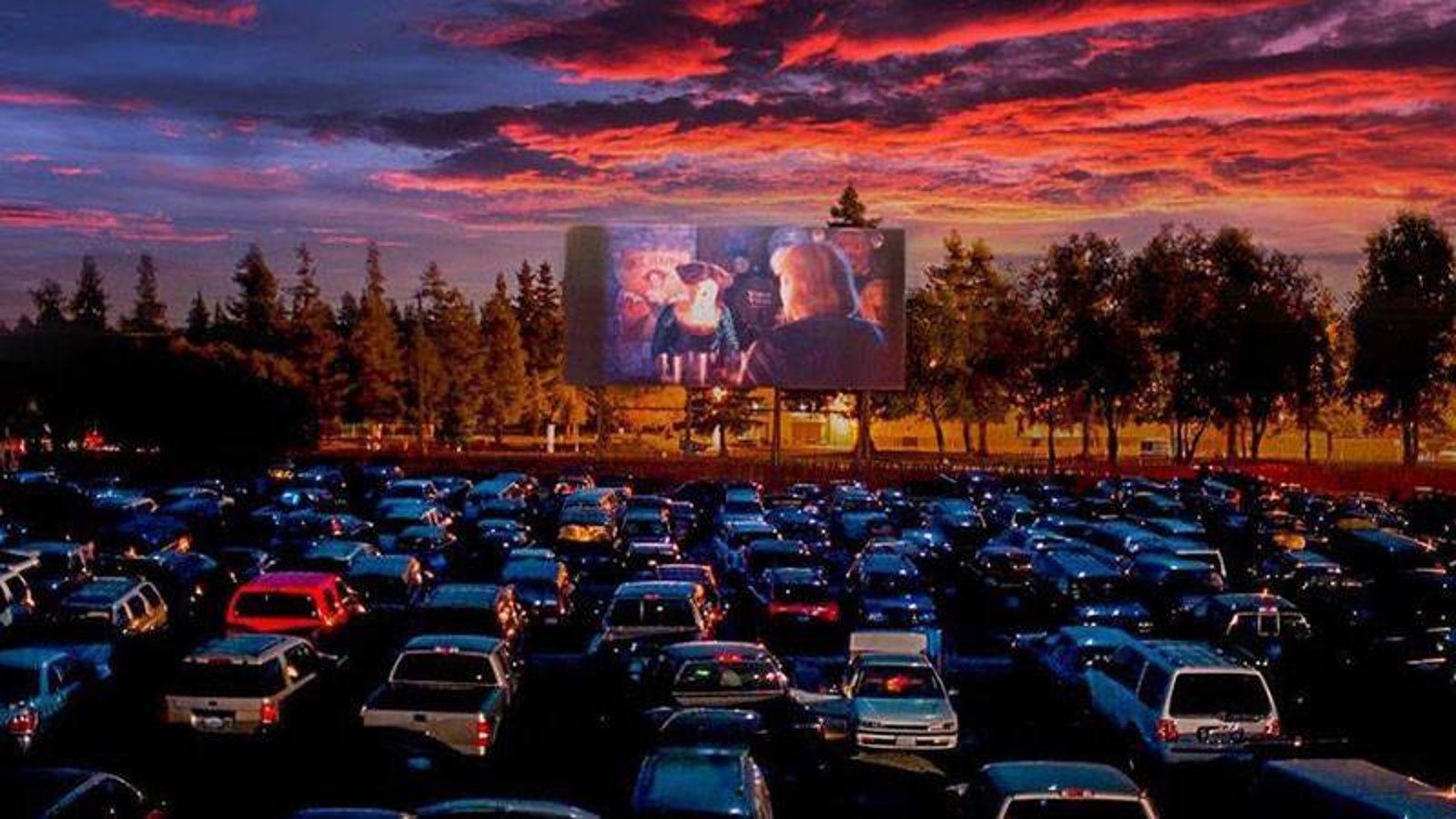 La saison des ciné-parcs est lancée : voici quand ils ouvriront près de chez vous