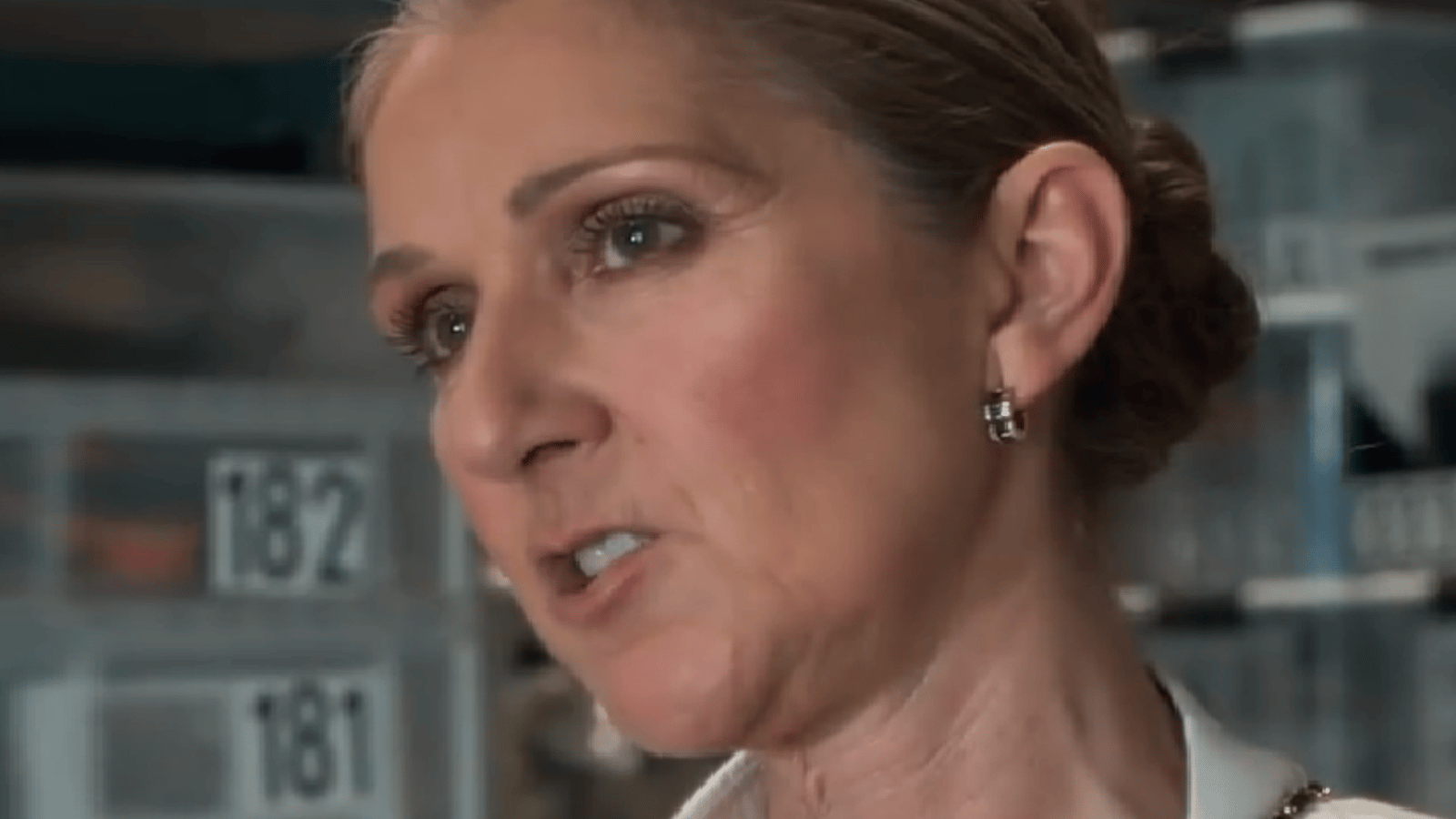 5 choses cocasses que vous n'avez peut-être pas remarquées dans le documentaire de Céline Dion