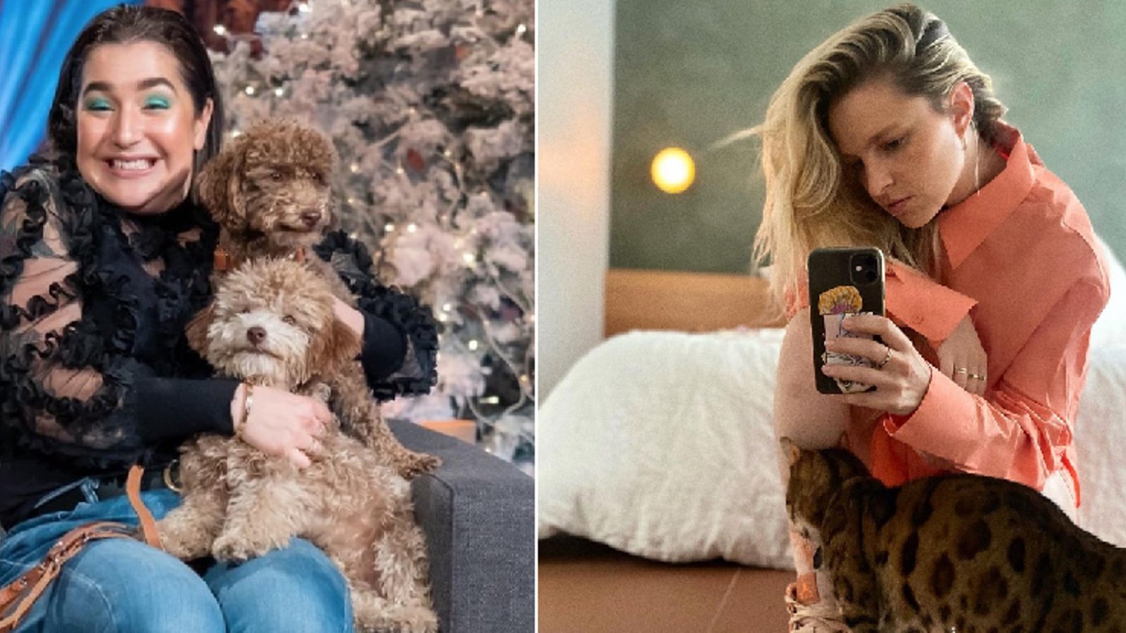 10 célébrités avec leur magnifique animal de compagnie 