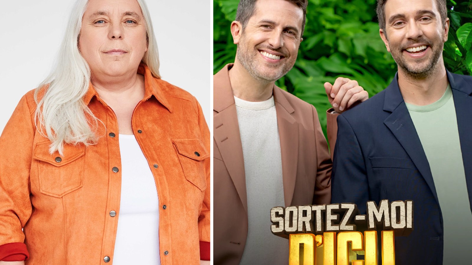 Voici 5 vedettes qui feraient énormément jaser en participant à la prochaine saison de Sortez-moi d'ici!