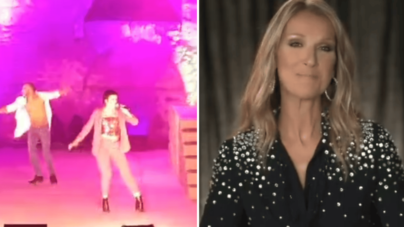 Cette vidéo d'un festival qui rend hommage à Céline Dion enflamme les médias sociaux