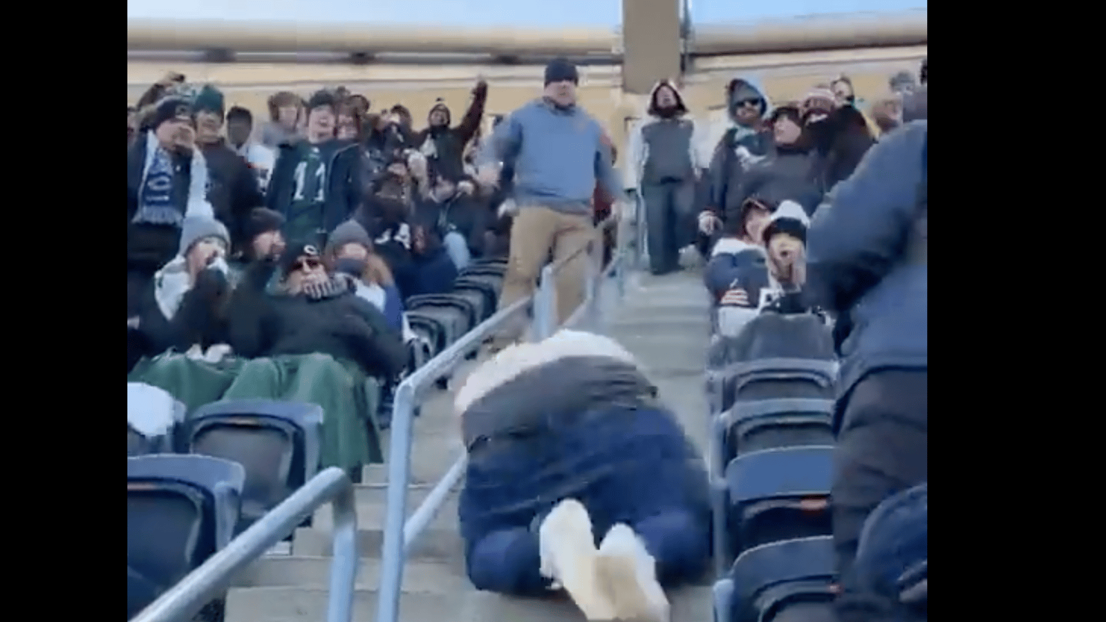 Fan flashes the world falling down the steps! 