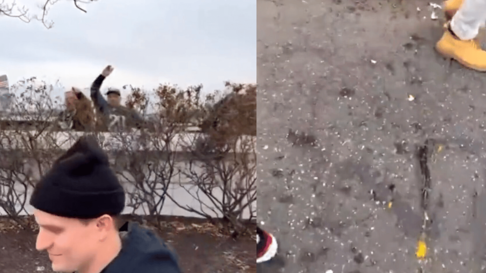 VIDEO: Eagles fans throw eggs at 49ers fans 
