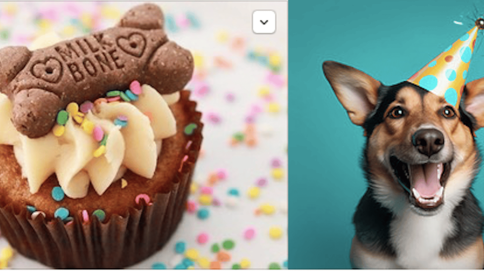 Cupcakes pour chiens