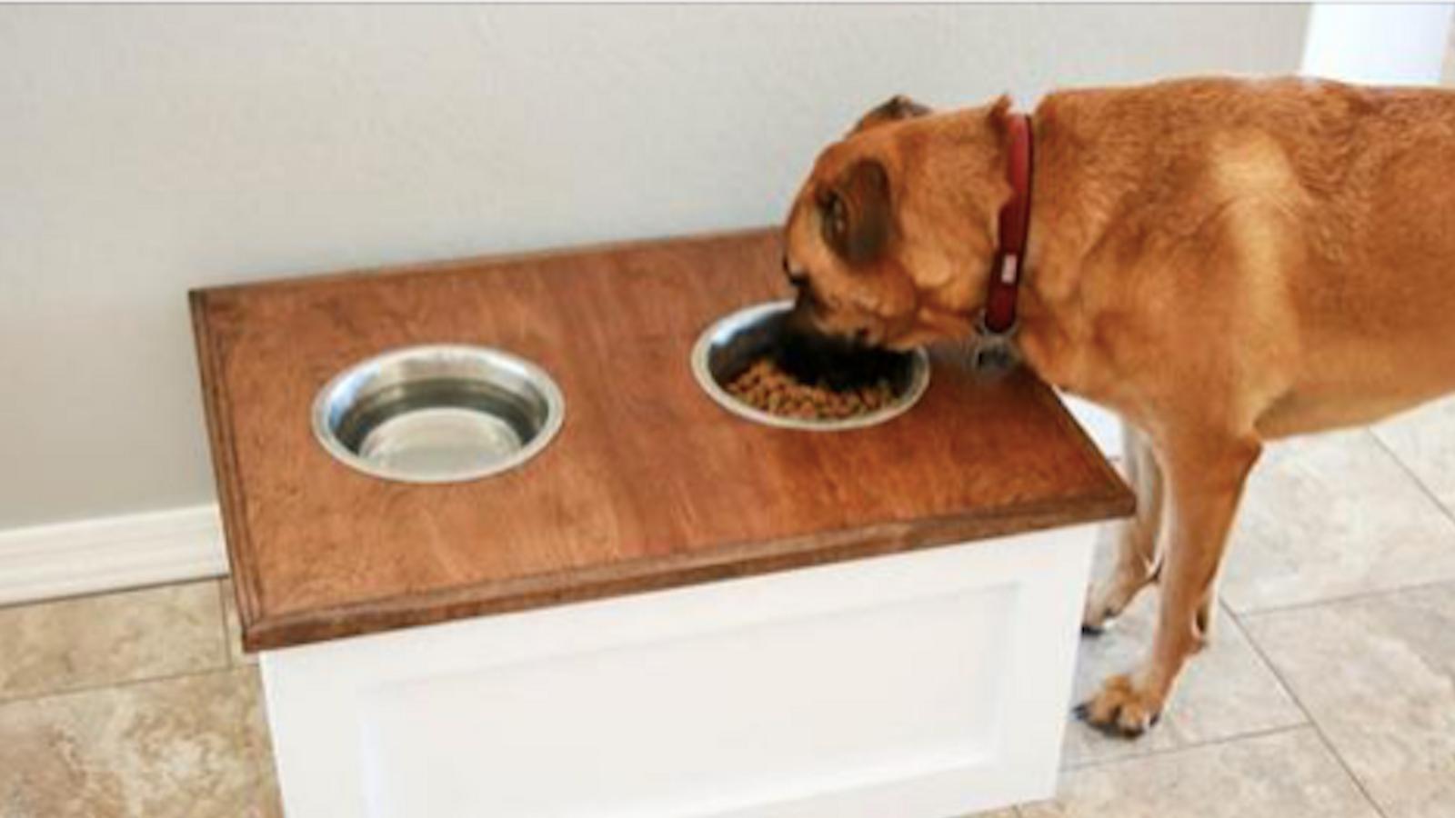 Comment construire une station de nourriture pour chiens personnalisée