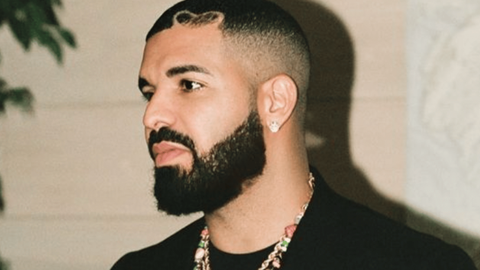 Drake offre une grosse somme d'argent à un fan qui a tout fait pour venir à son concert