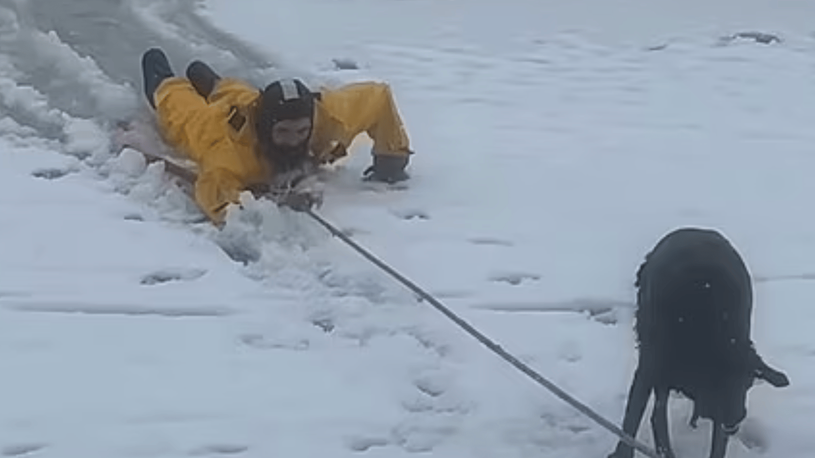 Des pompiers sauvent un chien des eaux glaciales.