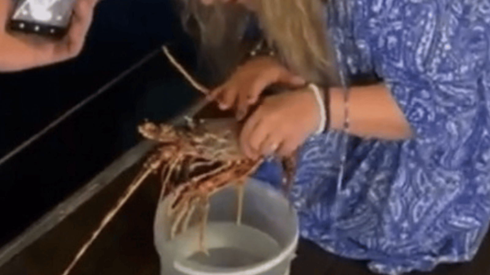 Une femme commande un homard de plus de 200$ pour aller le relâcher dans l'eau 