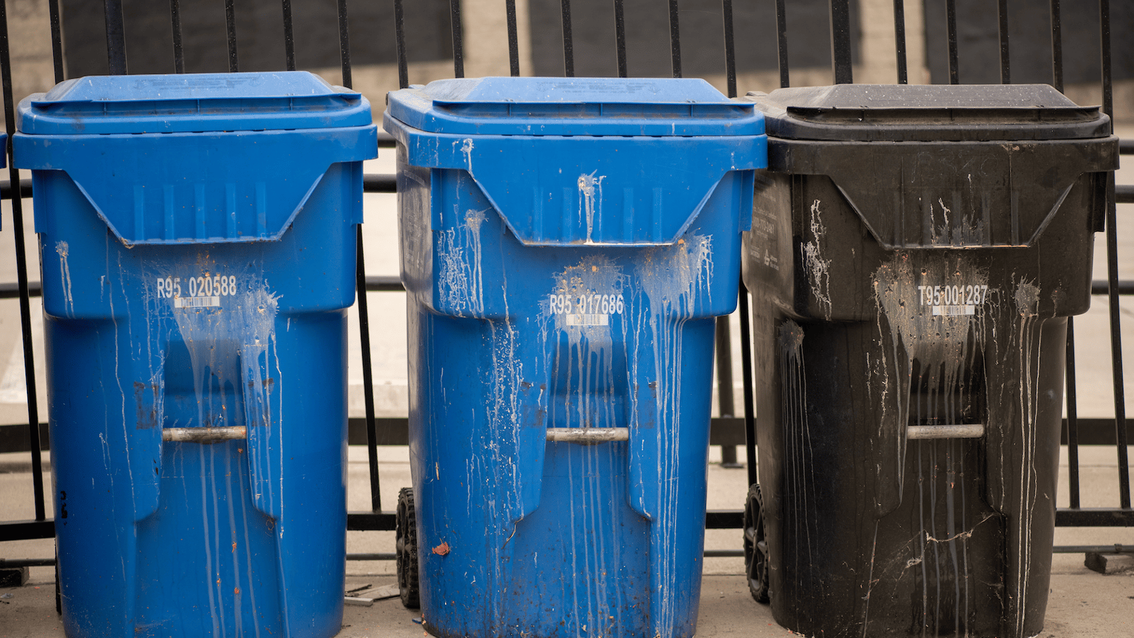 De nombreux Québécois jettent n'importe quoi dans leur bac de recyclage