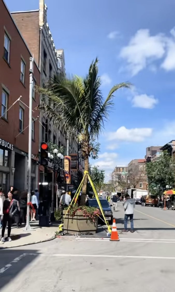 Ryan Reynolds a été aperçu dans les rues de Montréal durant les tournages d'un film