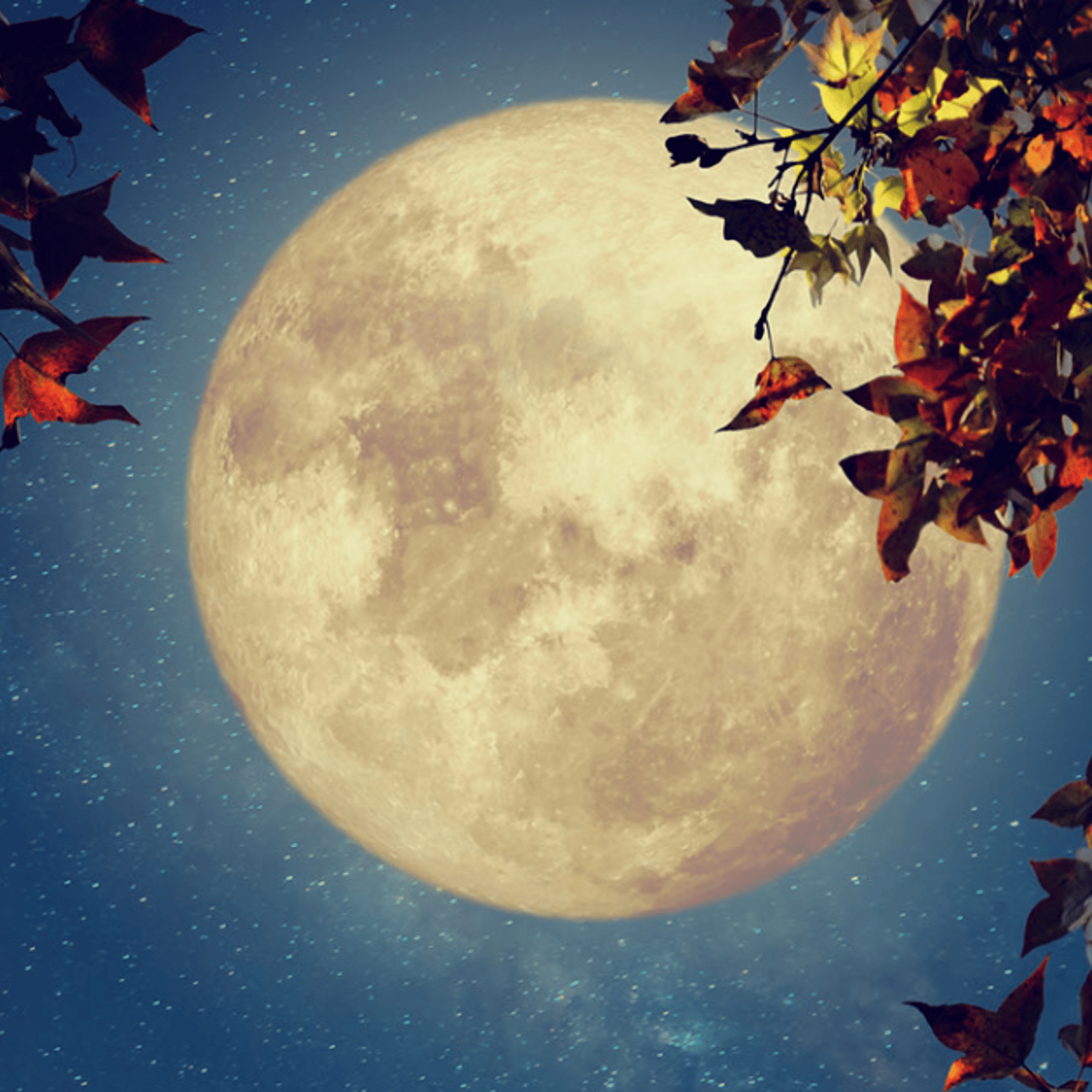 C'est soir de Pleine Lune en Gémeaux et voici pourquoi vous risquez de vous sentir nerveux!