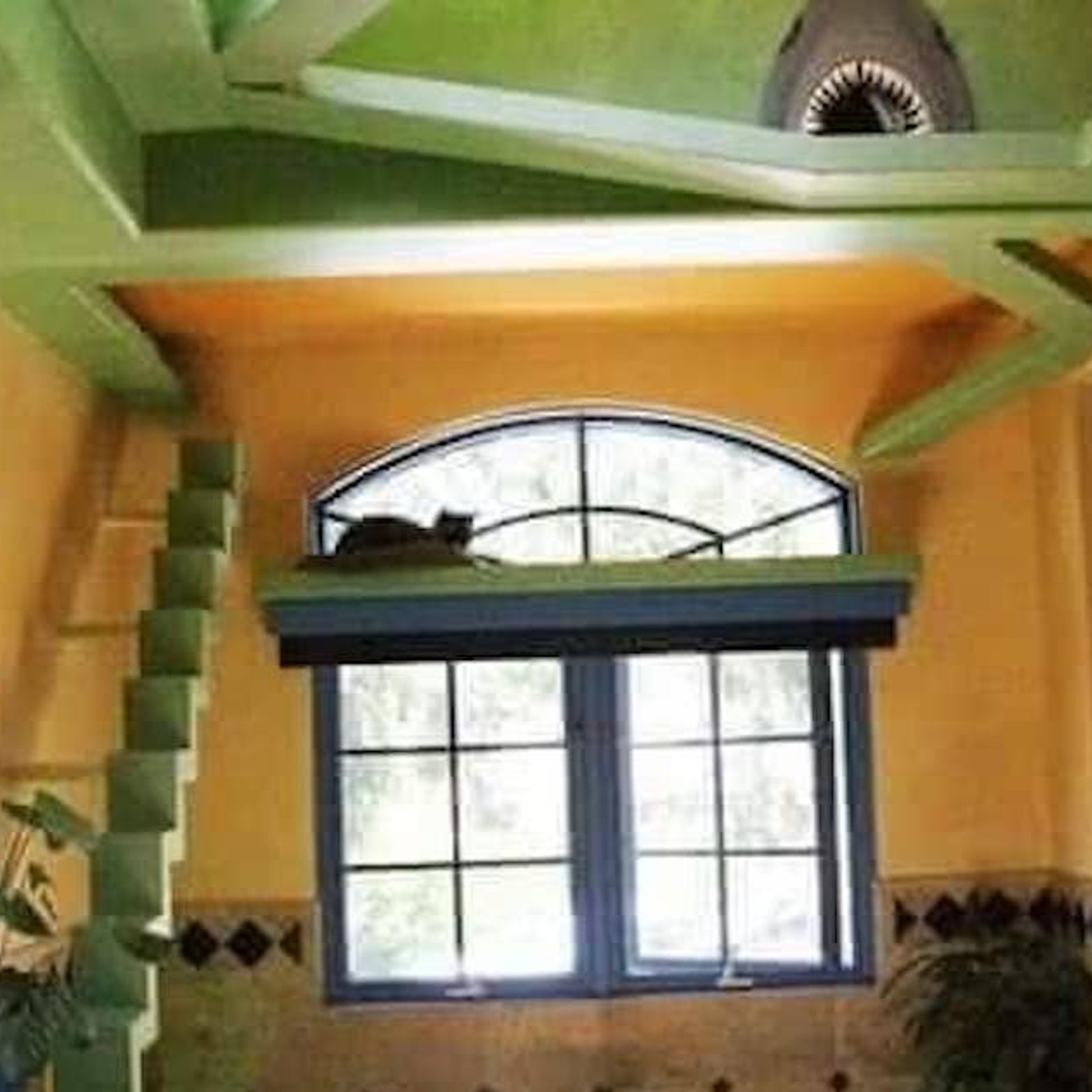 Il a transformé sa maison en petit paradis pour chats