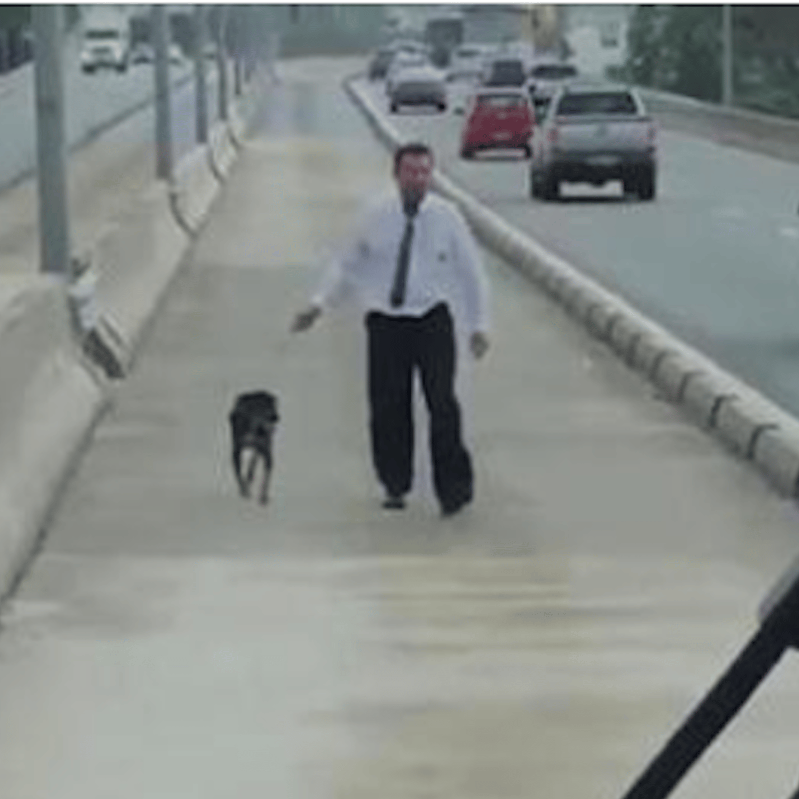 Ce chauffeur de bus au grand coeur a sauvé un chien sur l’autoroute